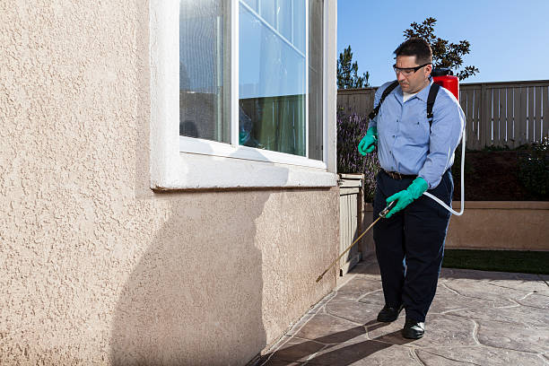 Best Pest Prevention Services  in USA